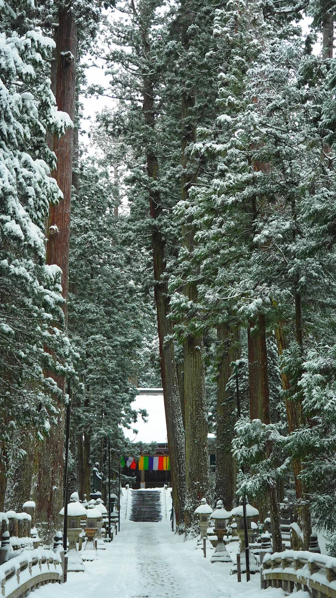 投稿写真：高野山奥の院