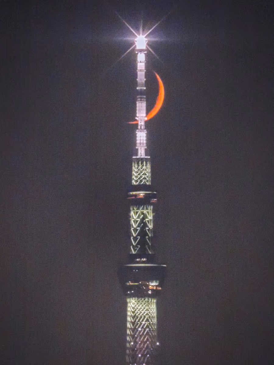 投稿写真：スカイツリーにクロスする四日月