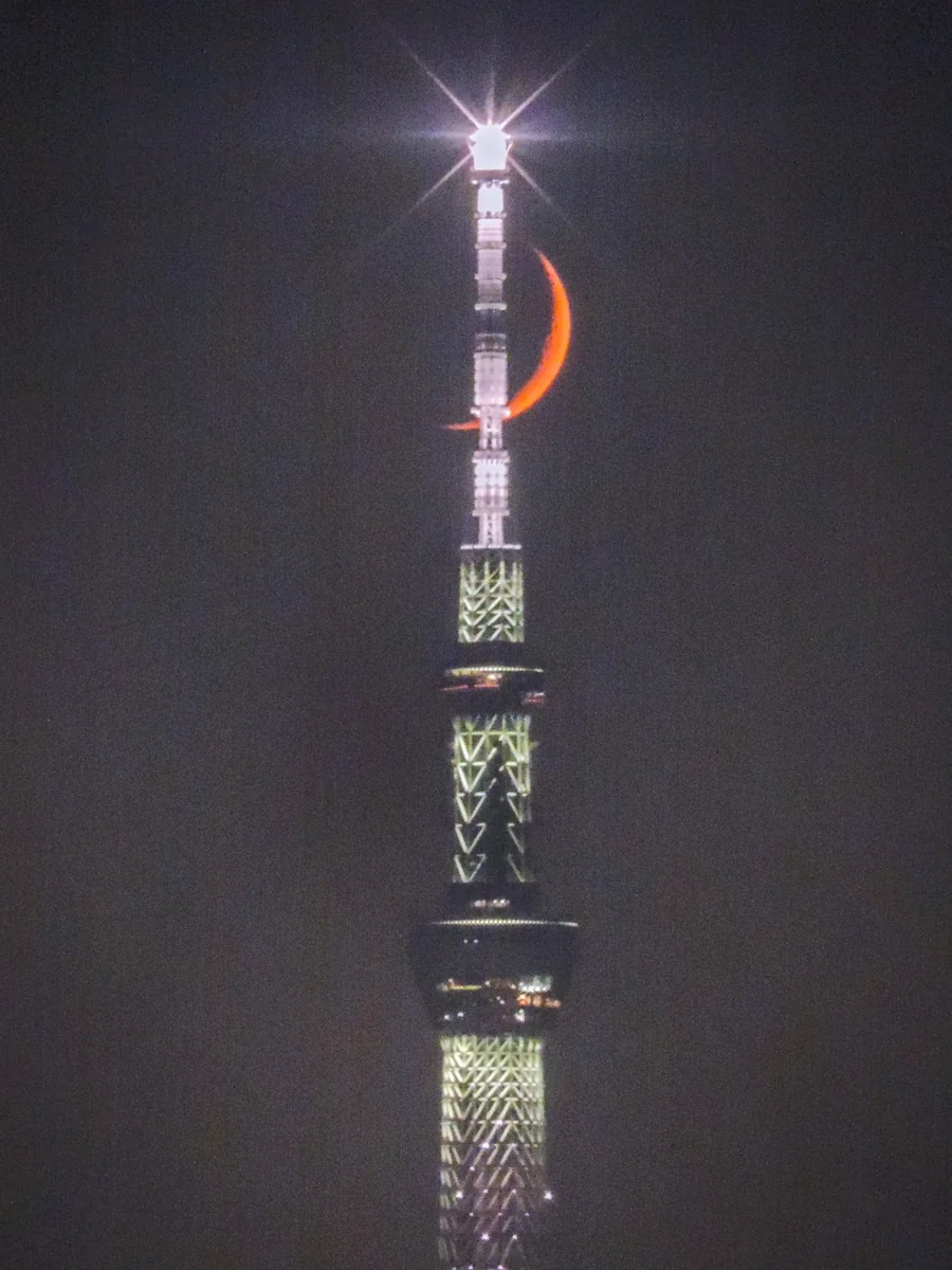 投稿写真：スカイツリーにクロスする四日月