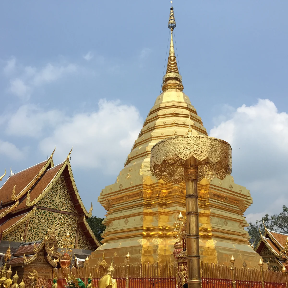 minnyさんの投稿写真