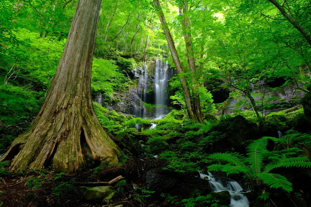 投稿写真：スッカン沢