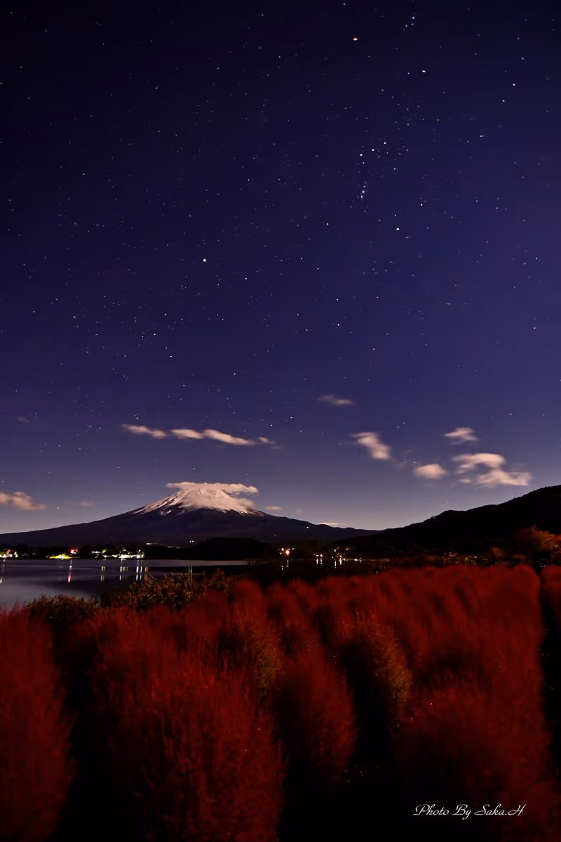 投稿写真：月明かりの夜