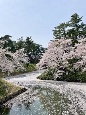  | 絶景事典