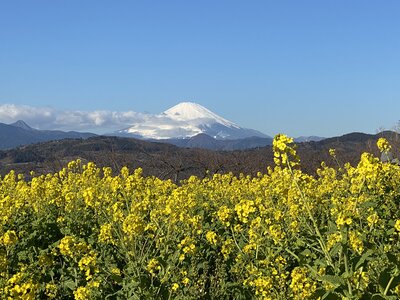  | 絶景事典