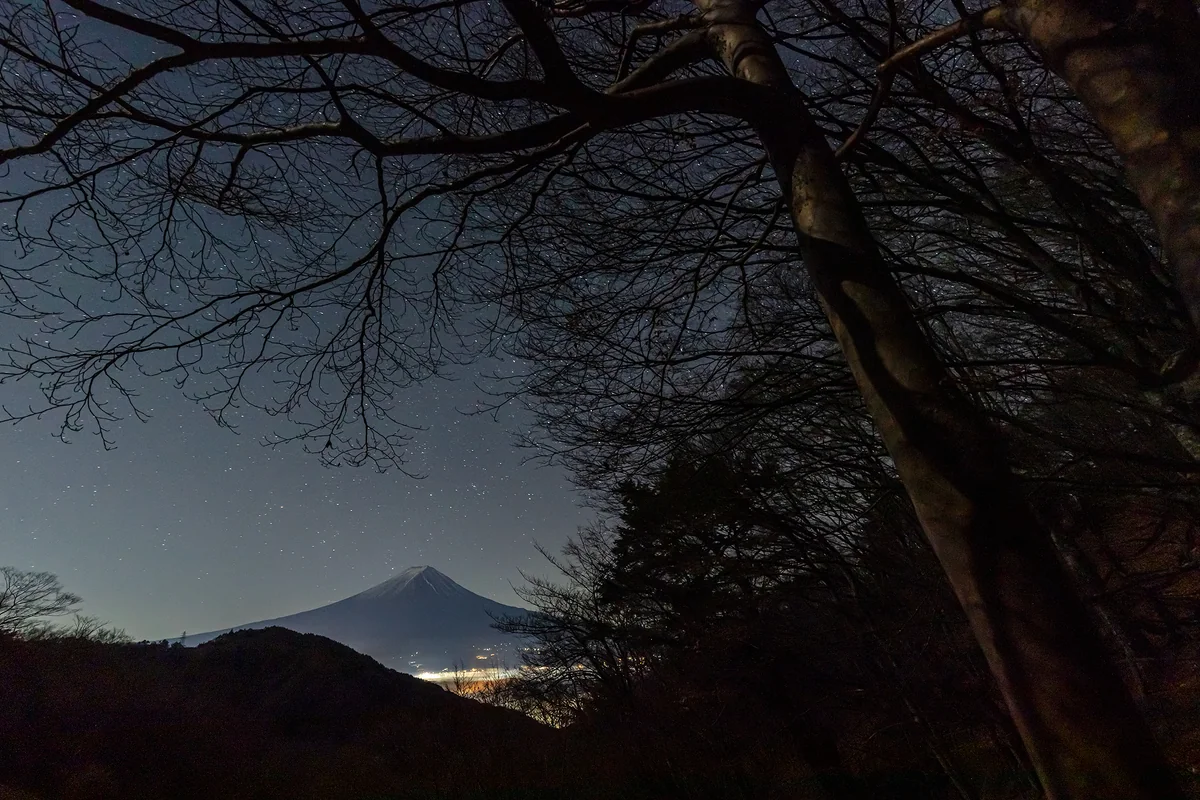 投稿写真：闇に浮かぶ富士