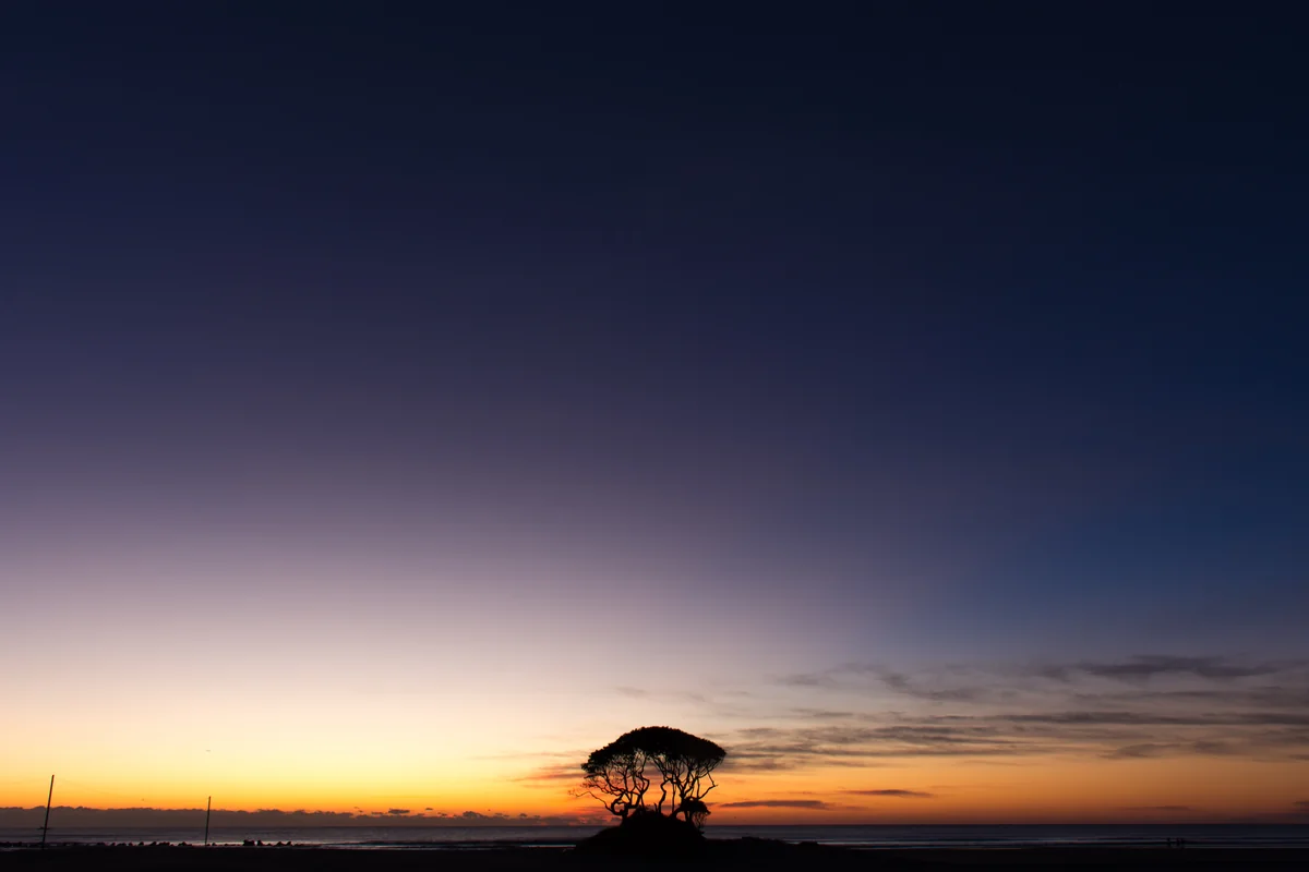 投稿写真：夜明け