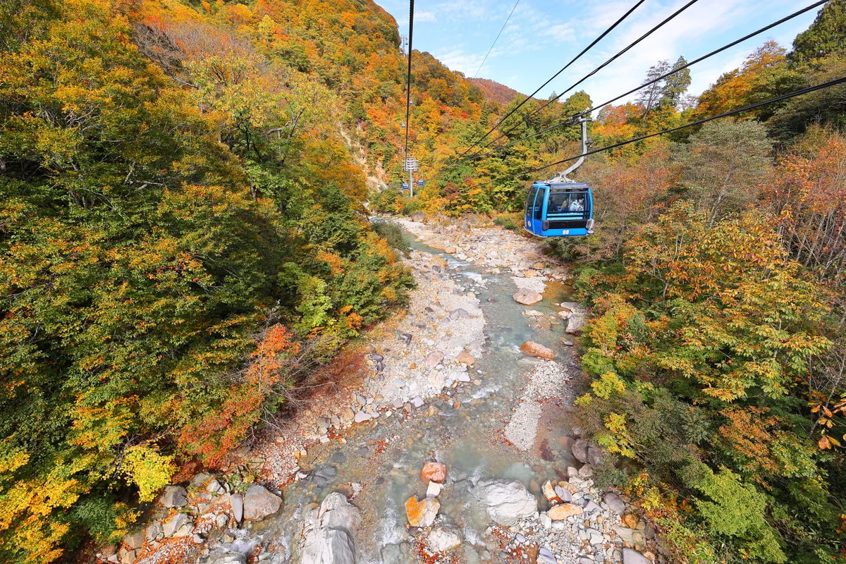 投稿写真：ドラゴンドラからの秋絶景