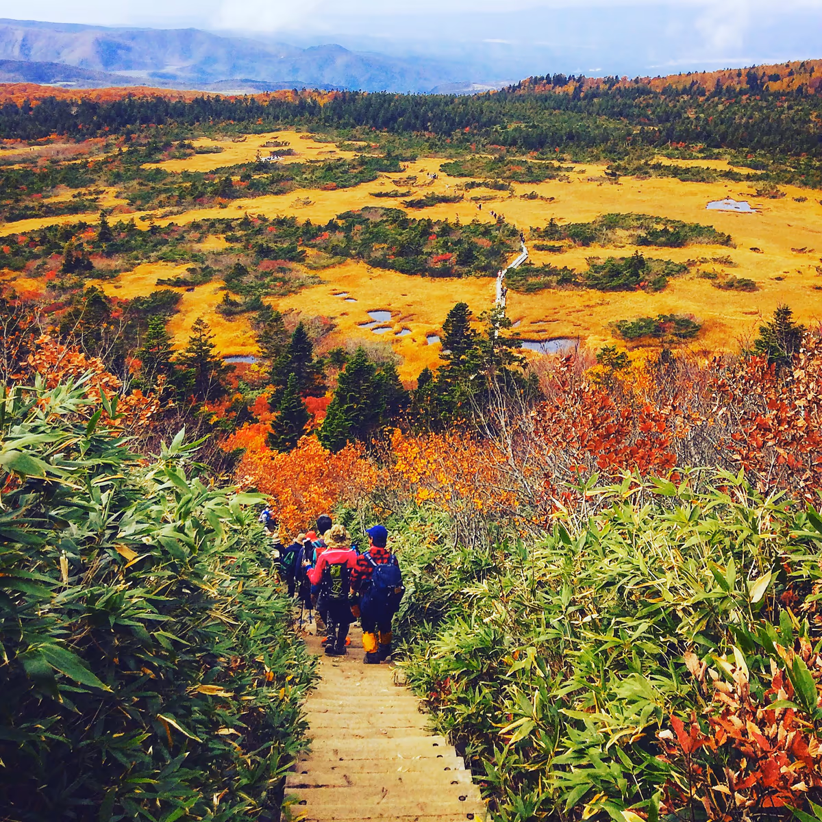 投稿写真：Hakkoda mountain Odake