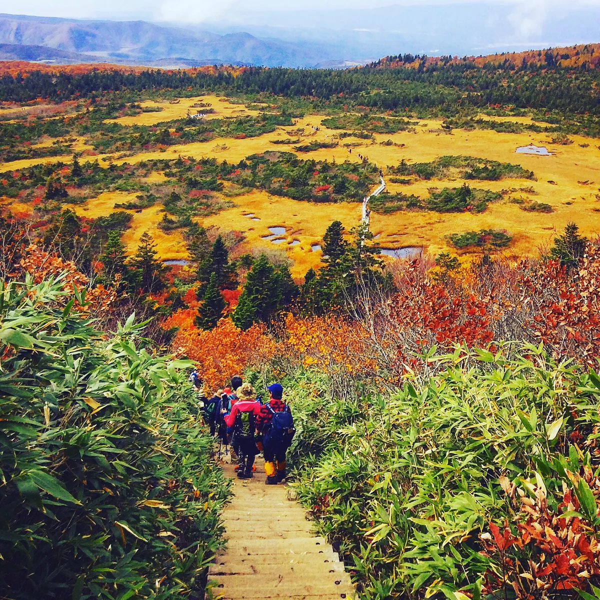 投稿写真：Hakkoda mountain Odake