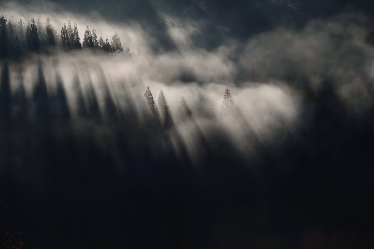 投稿写真：目覚の時