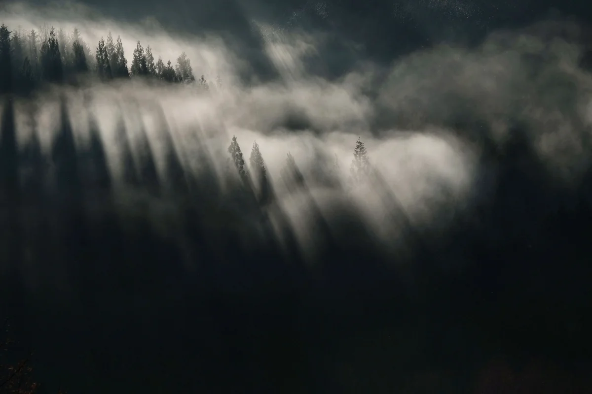 投稿写真：目覚の時