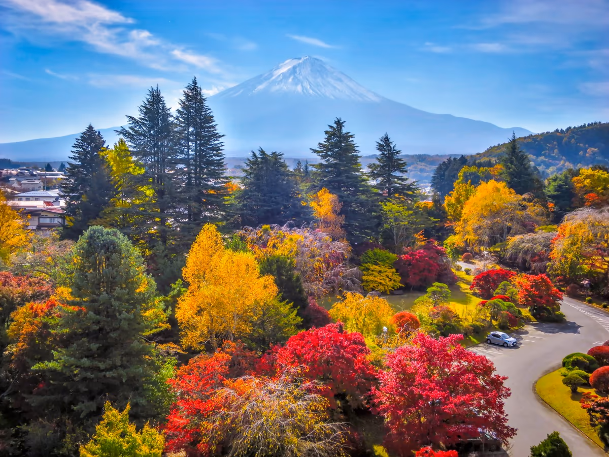 投稿写真：庭園の紅葉と富士山