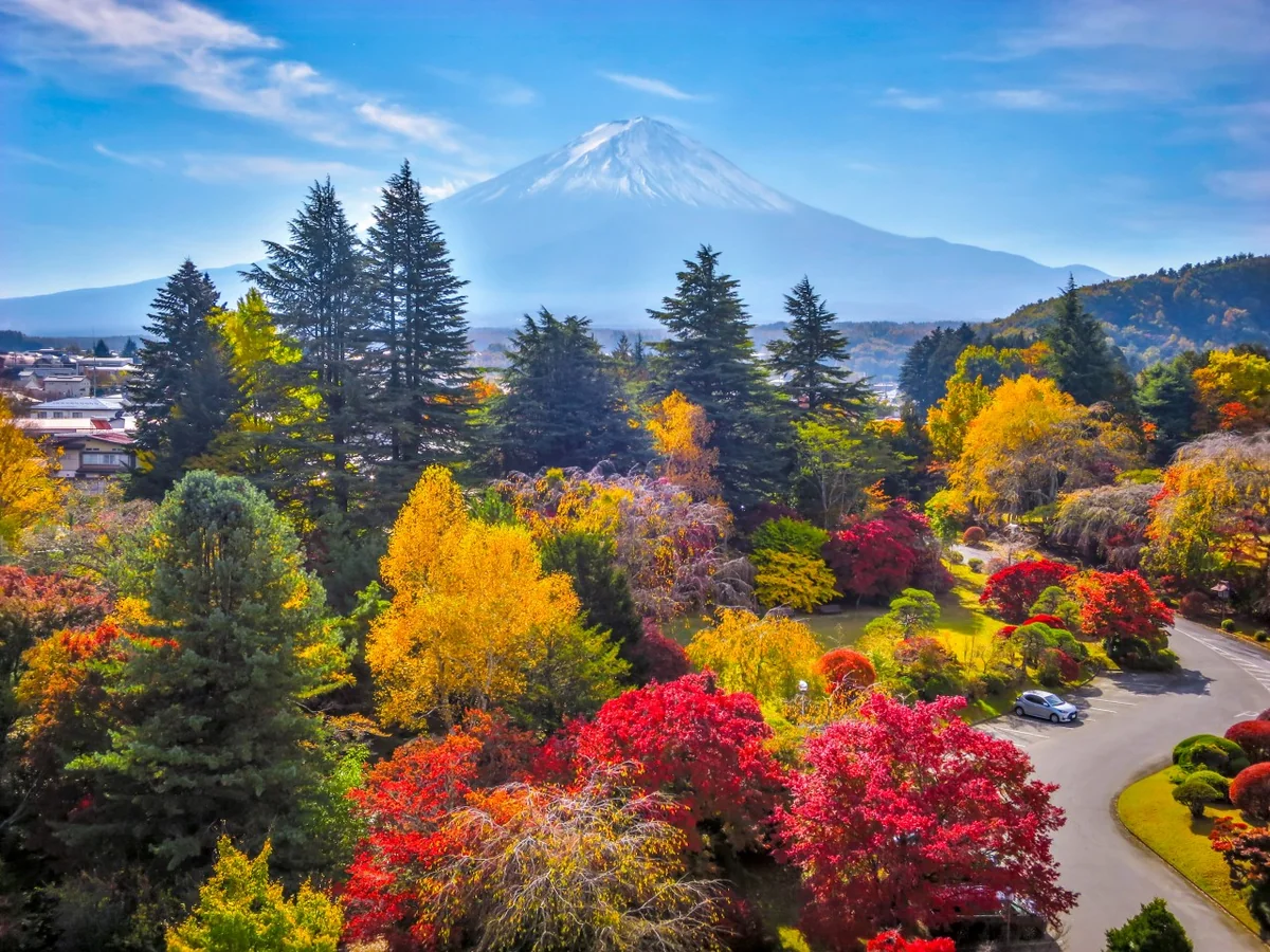 投稿写真：庭園の紅葉と富士山