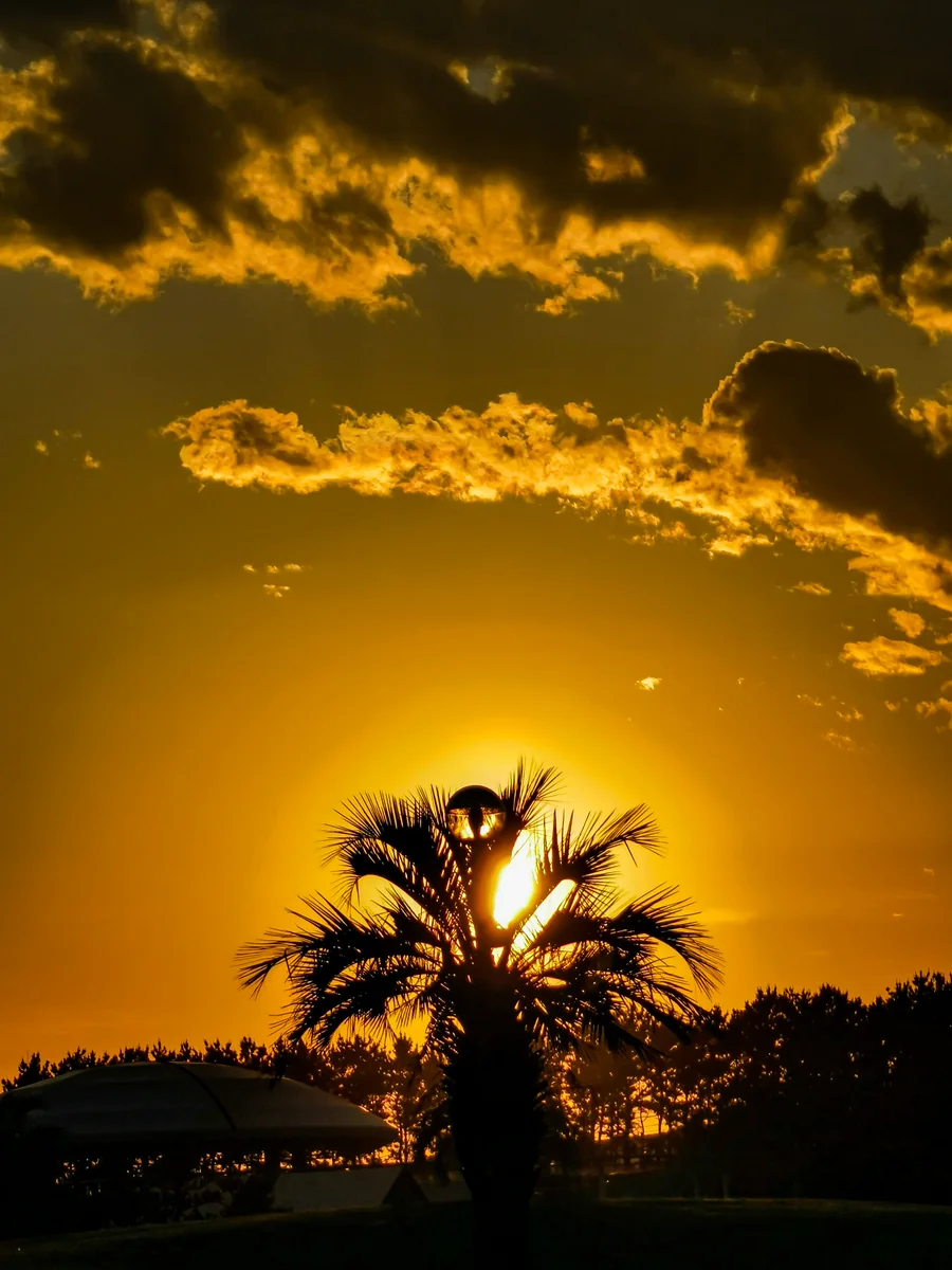 投稿写真：辻堂海浜公園の夕陽