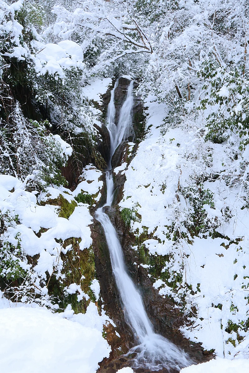 投稿写真：流涎の滝（冬）
