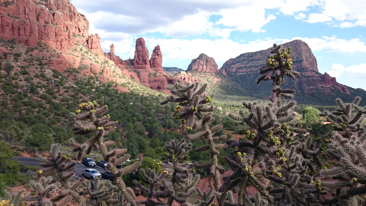 投稿写真：渦巻くパワー