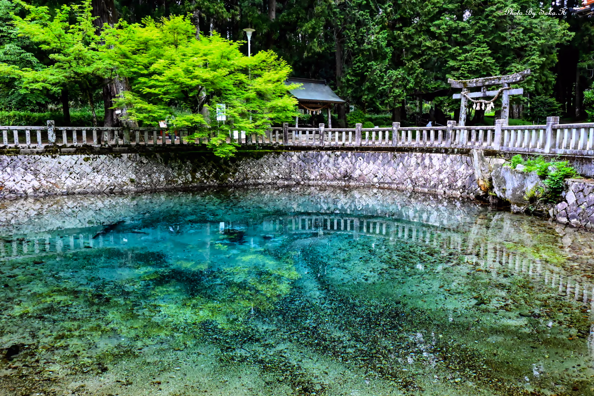 投稿写真：透明
