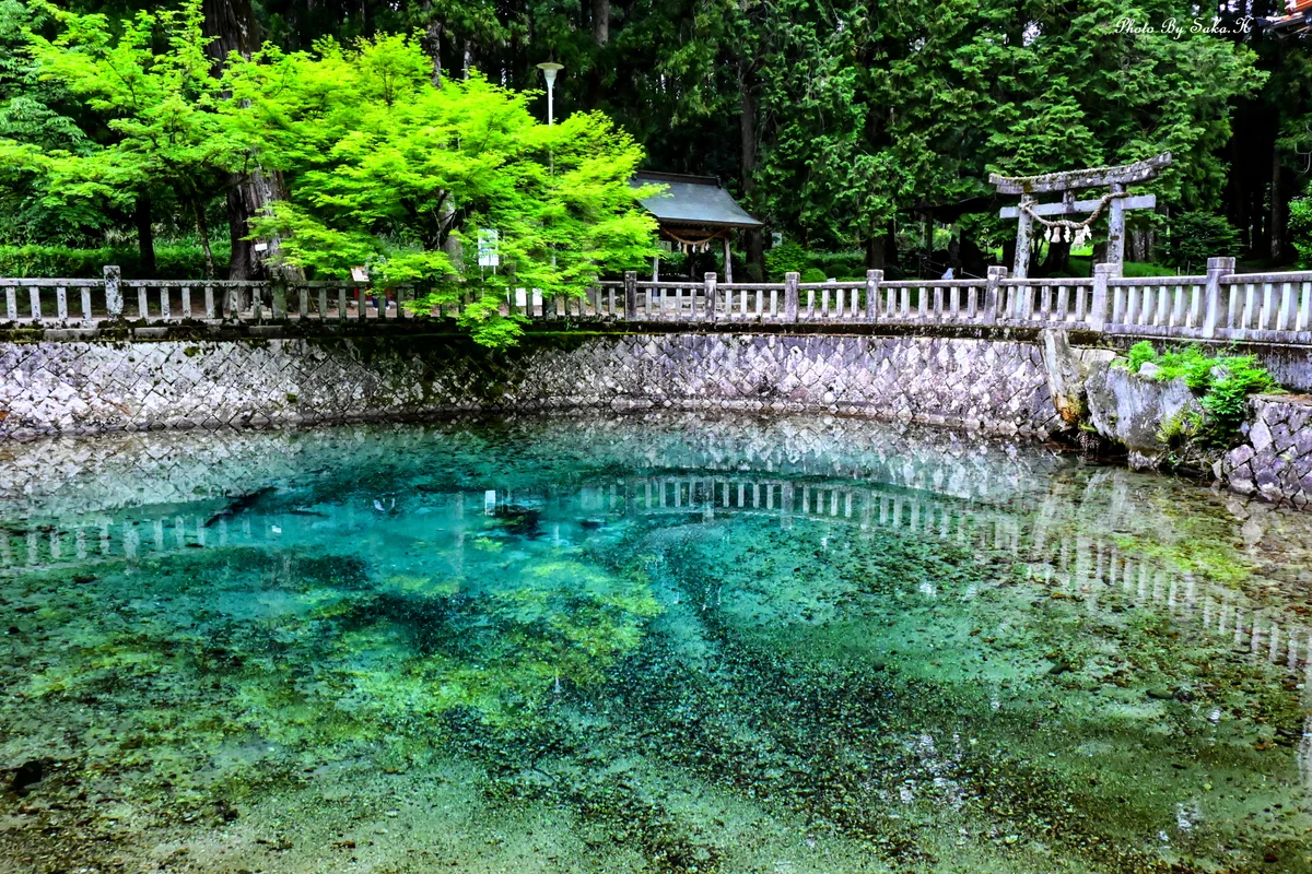 投稿写真：透明