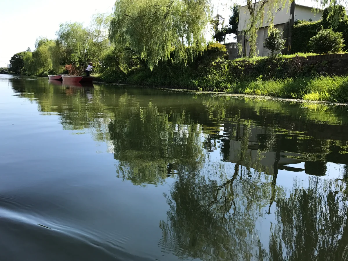 投稿写真：柳川下り