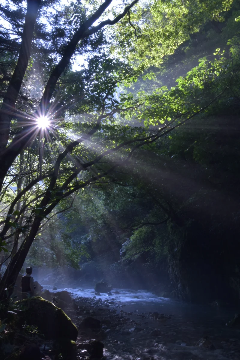 投稿写真：光芒