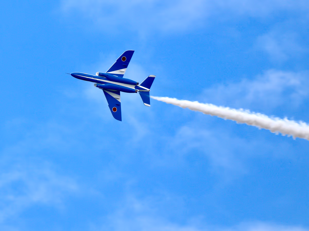 投稿写真：Blue impales in blue sky