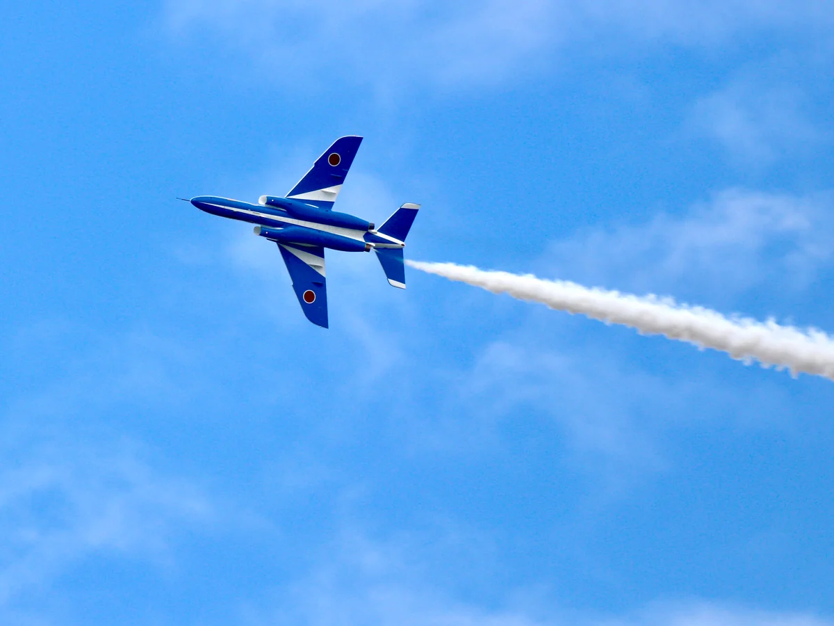 投稿写真：Blue impales in blue sky