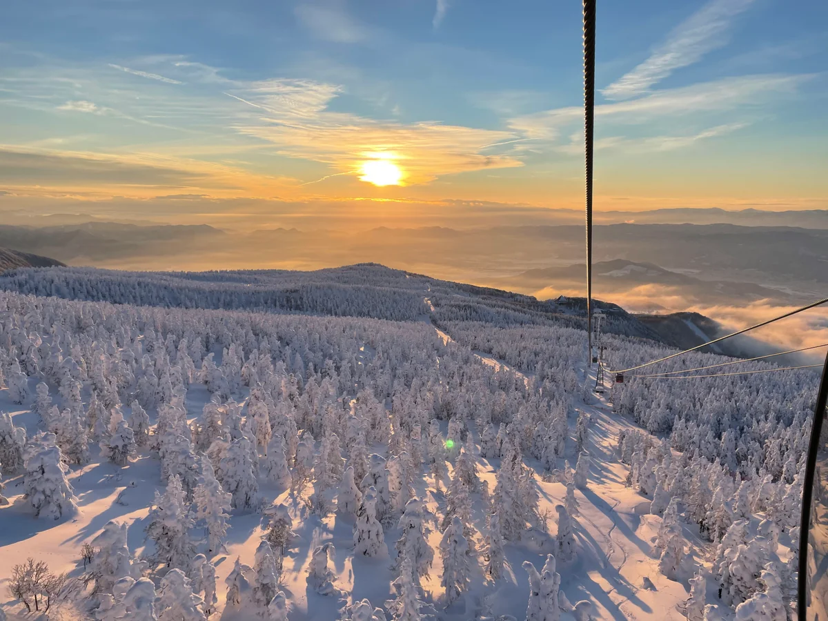 投稿写真：ロープウェイの車窓より