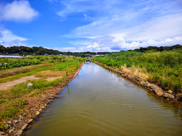 投稿：ハス園の水路