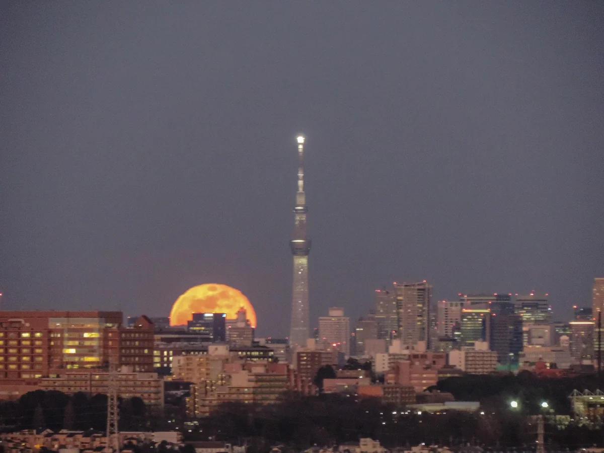 投稿写真：満月の出