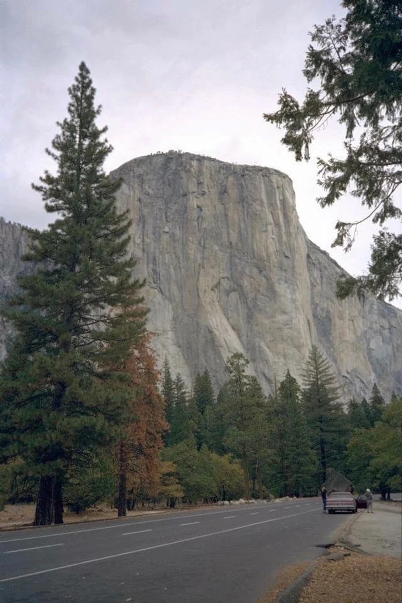 投稿写真：エル・キャピタン