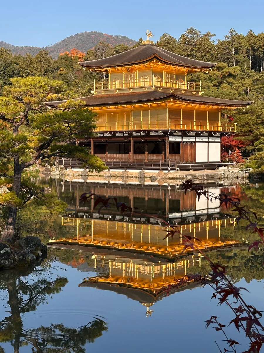 投稿写真：朝凪の金閣舎利殿