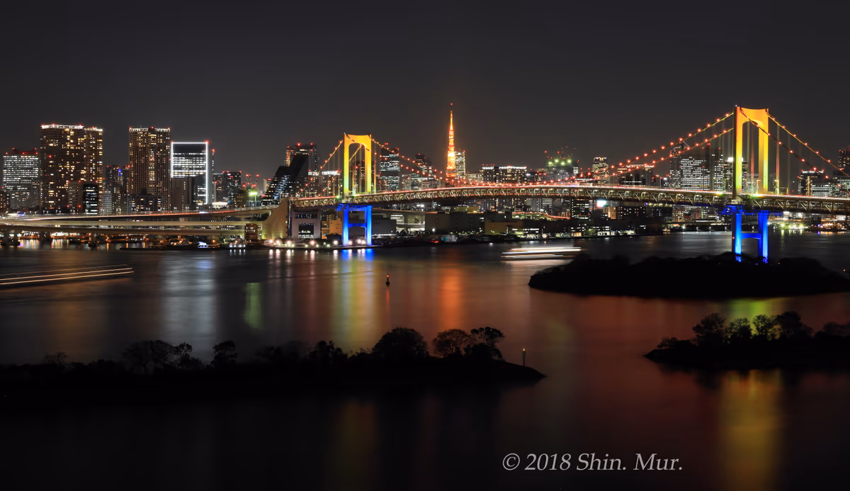 投稿写真：クリスマス夜のレインボーブリッジと東京タワー