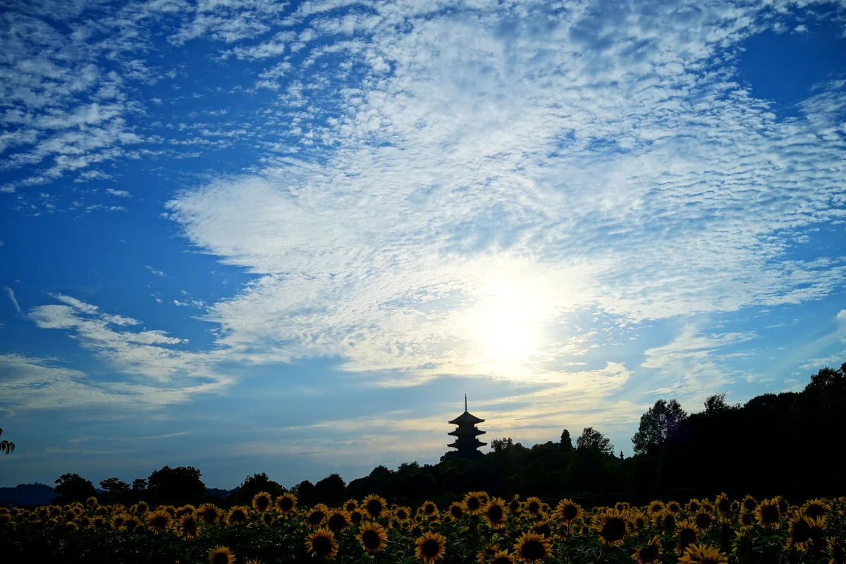 投稿写真：「備中国分寺」
