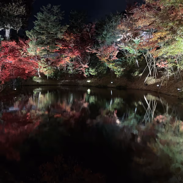 投稿：高台寺〜水鏡に対峙する紅葉と緑赤のグラデーション〜