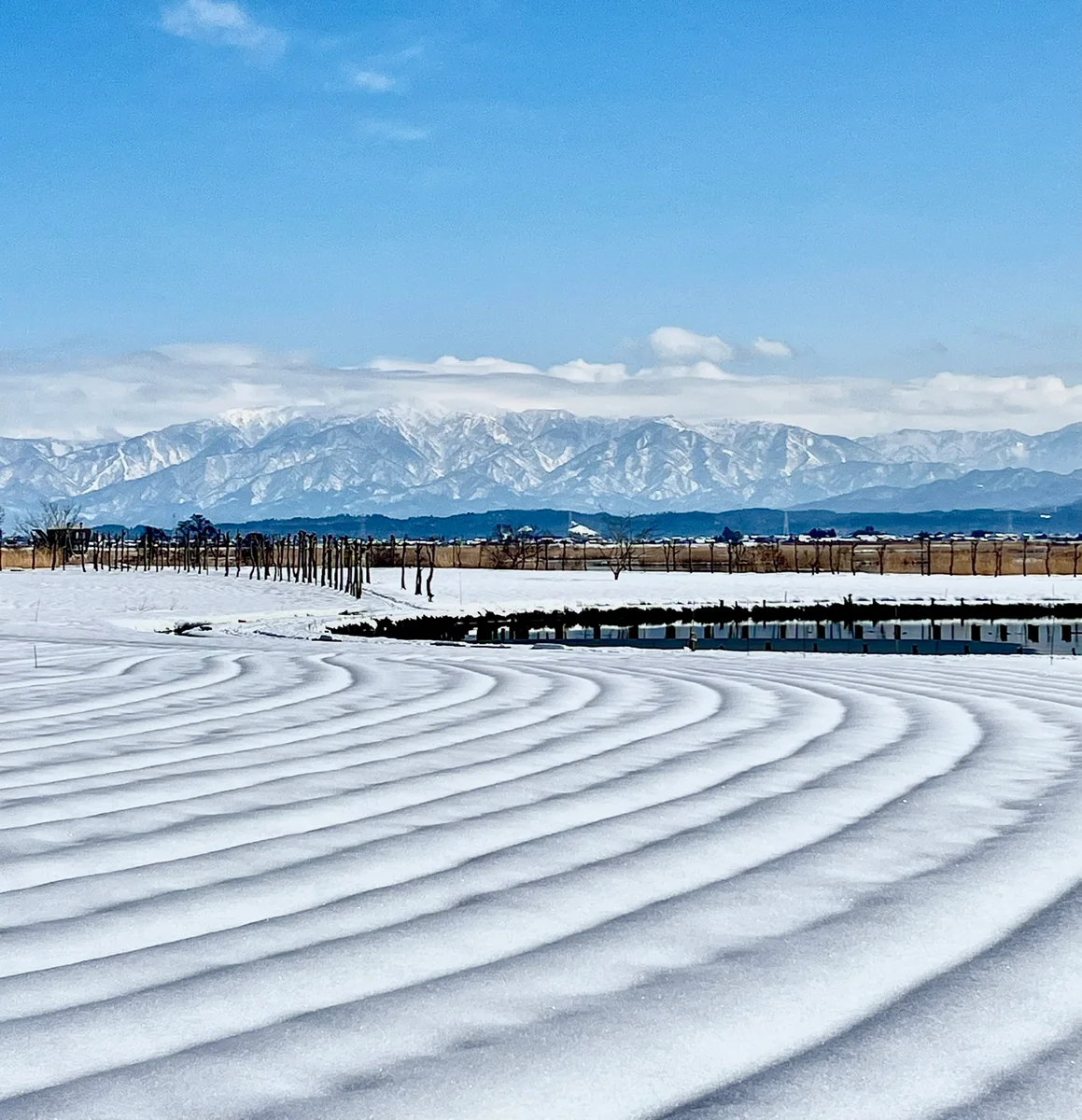 小林玄太さんの投稿写真