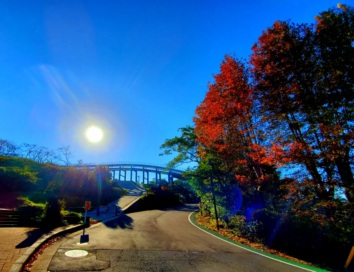 投稿写真：ジェットコースターかと思った瞬間