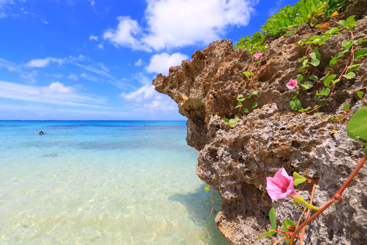投稿写真：昼顔と海