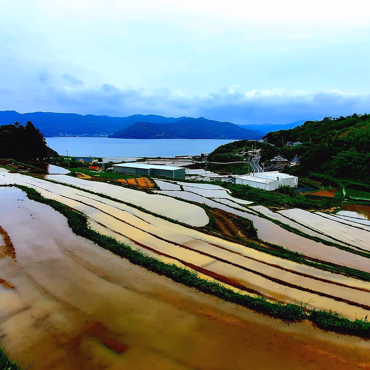 投稿写真：田植え前の棚田