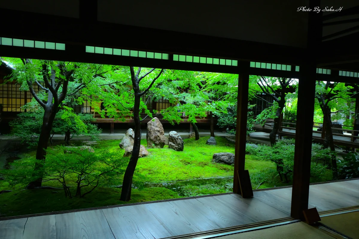 投稿写真：潮音庭