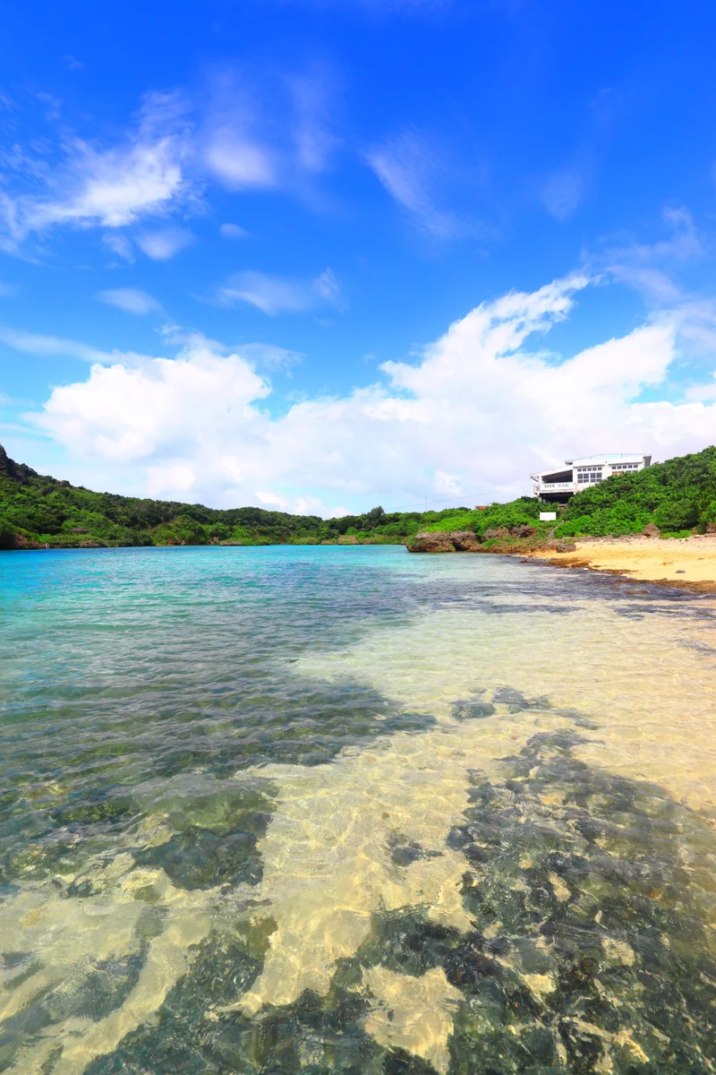 投稿写真：イムギャーマリンガーデン２