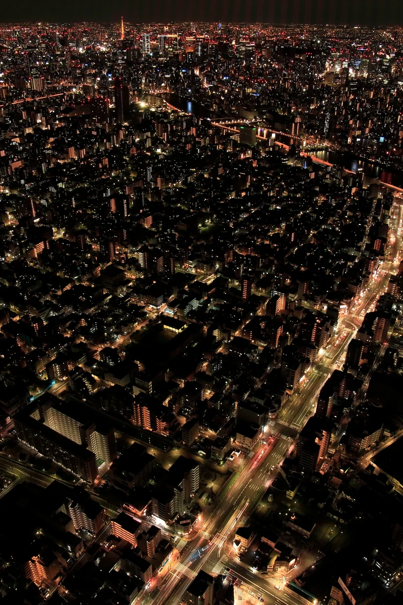 投稿写真：スカイツリーからの夜景