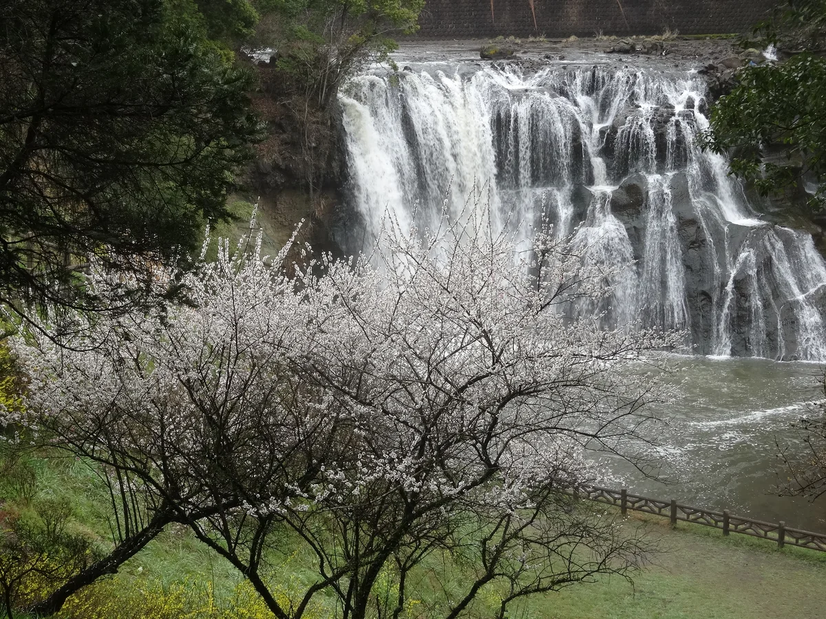 投稿写真：『景勝地の滝』／龍門の滝