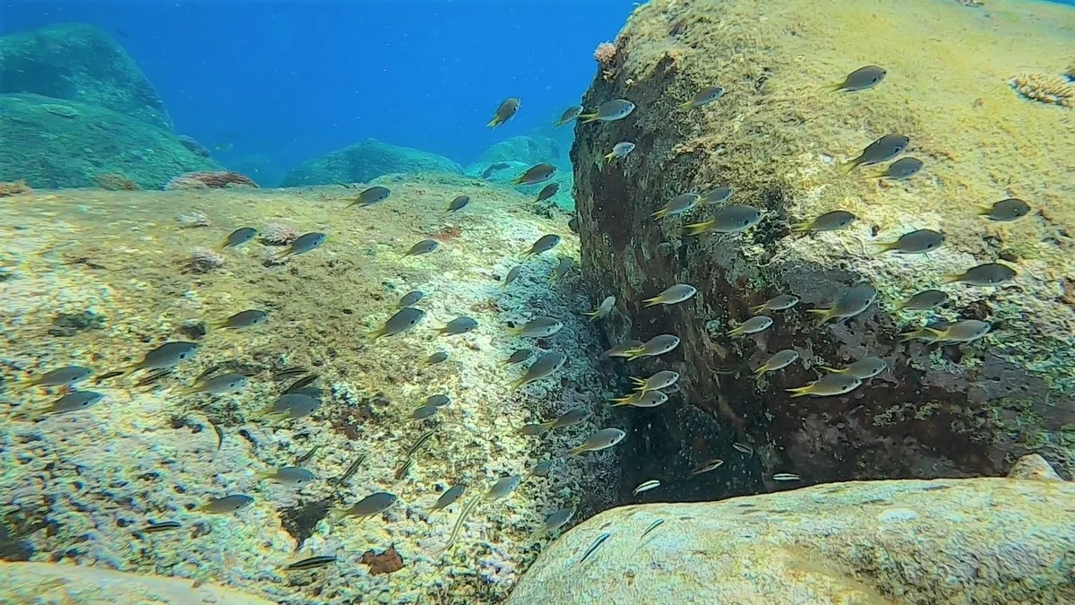 投稿写真：釜庭（学校下）