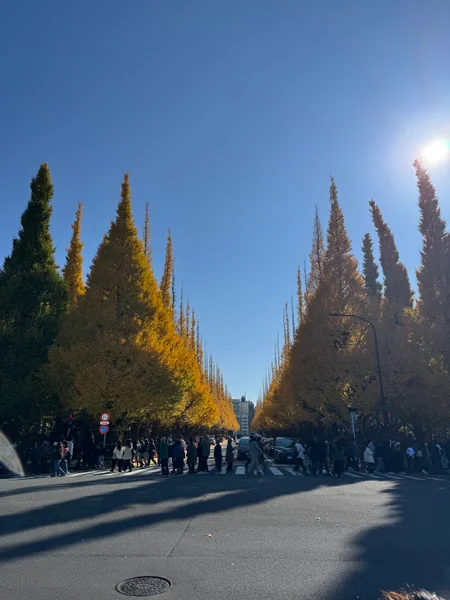 投稿：神宮外苑