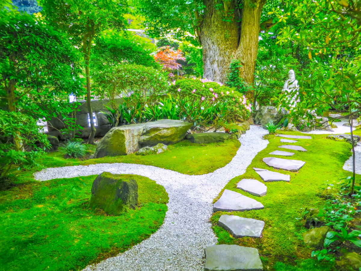 投稿写真：苔と石の庭