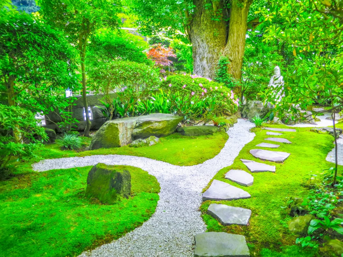 投稿写真：苔と石の庭