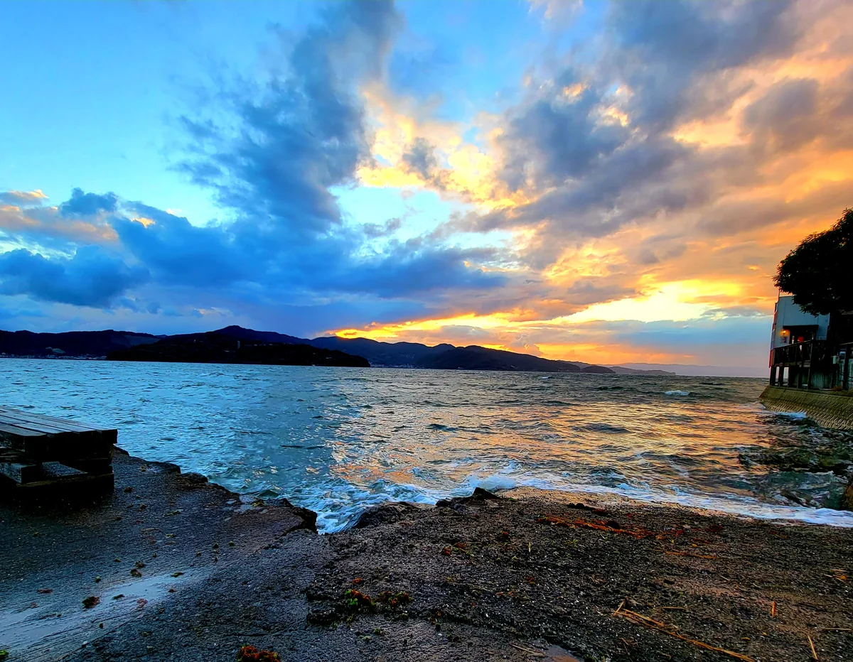 投稿写真：なみのうお