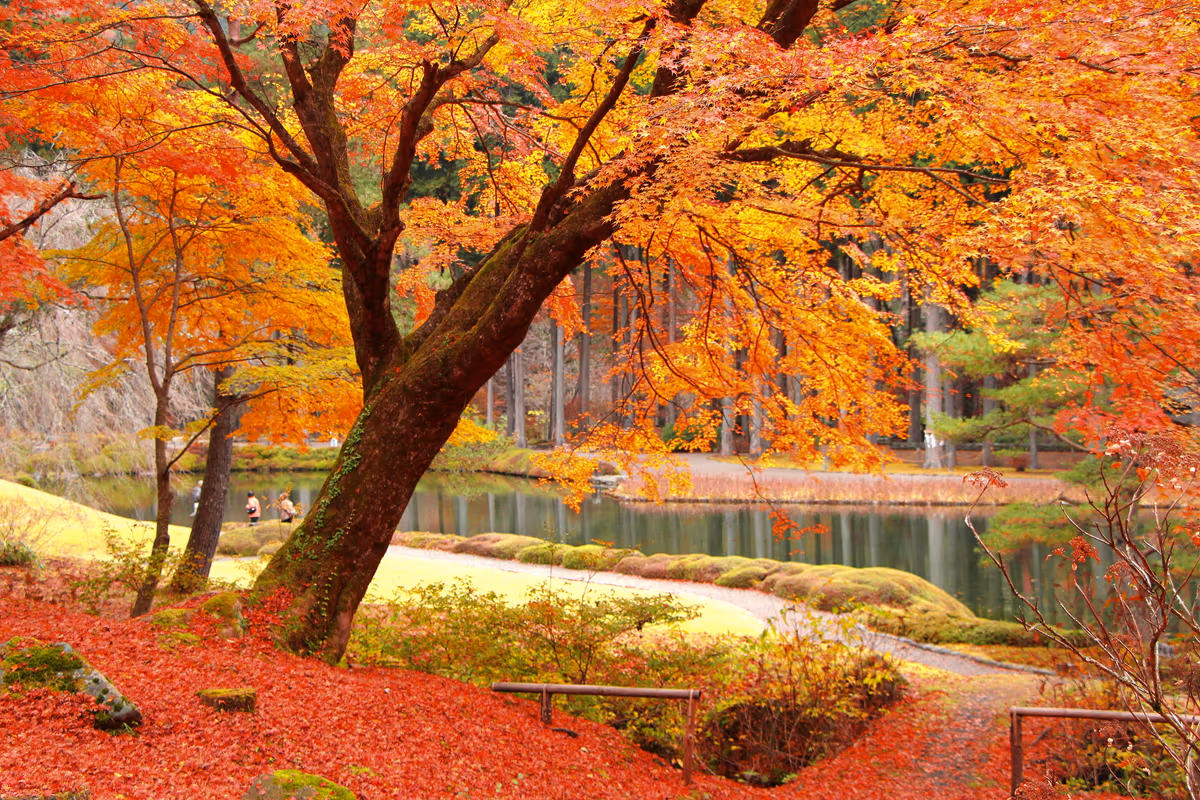 投稿写真：栃木県　鹿沼市