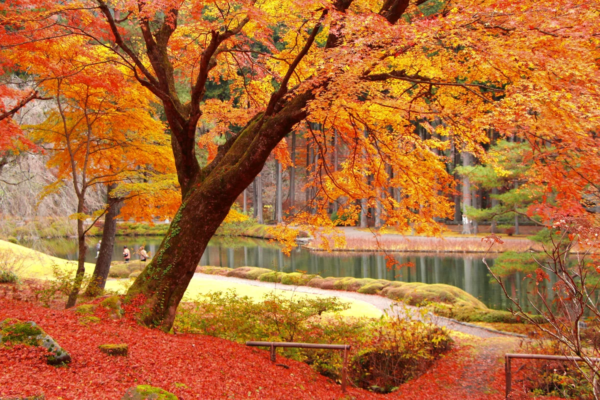 投稿写真：栃木県　鹿沼市