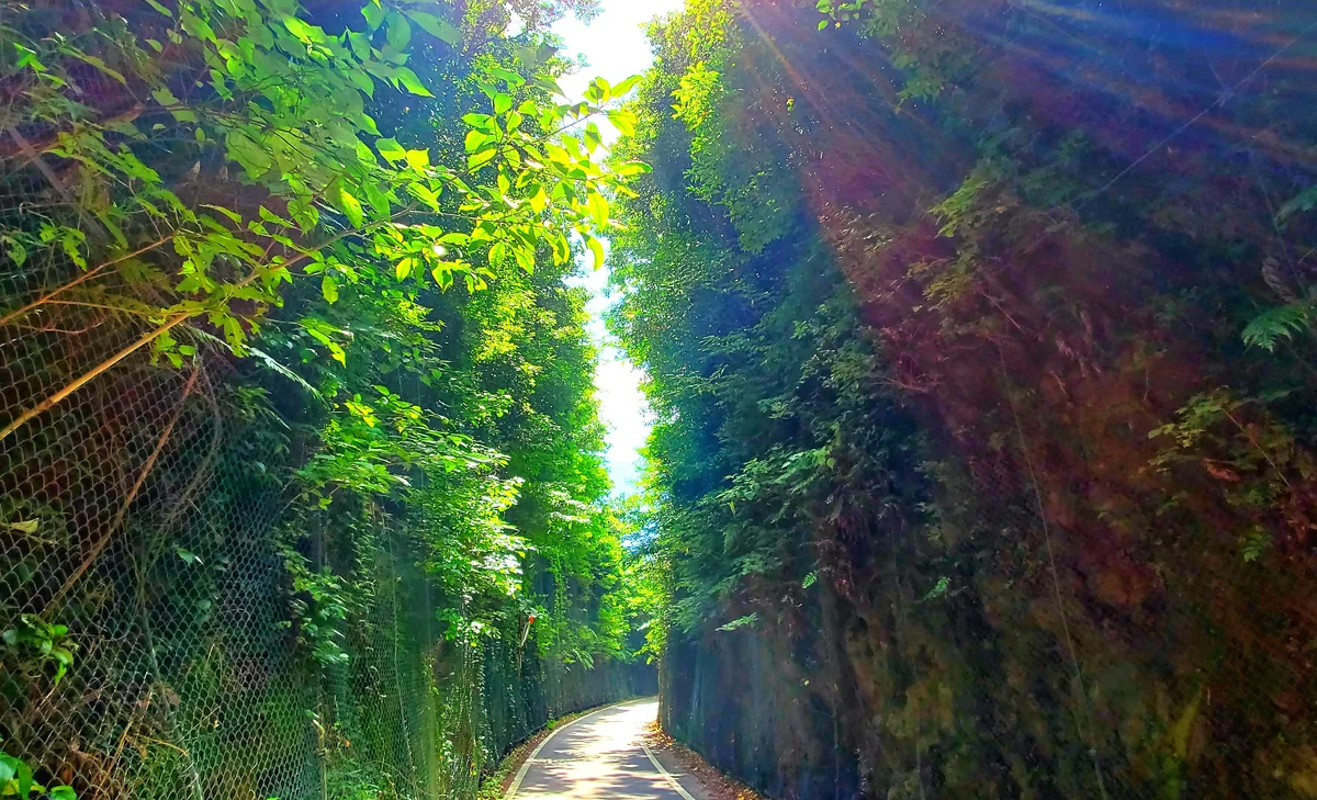 投稿写真：千々石町の電車道